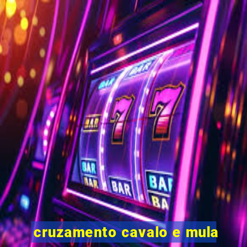 cruzamento cavalo e mula